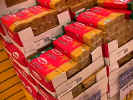 spagetti.jpg (164461 byte)