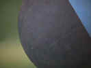 basket.JPG (34410 byte)
