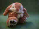 kanin.JPG (36946 byte)