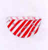 polka02.JPG (62293 byte)