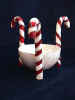 polka12.jpg (40189 byte)