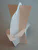 0117.jpg (107239 byte)