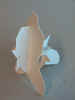 0122.jpg (113172 byte)