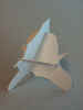 0124.jpg (115896 byte)