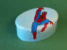 spider1.jpg (40478 byte)